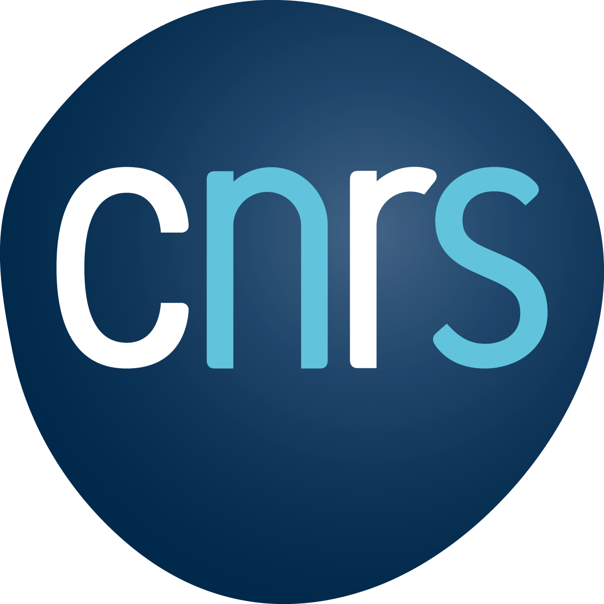 Centre National de la Recherche Scientifique (CNRS)